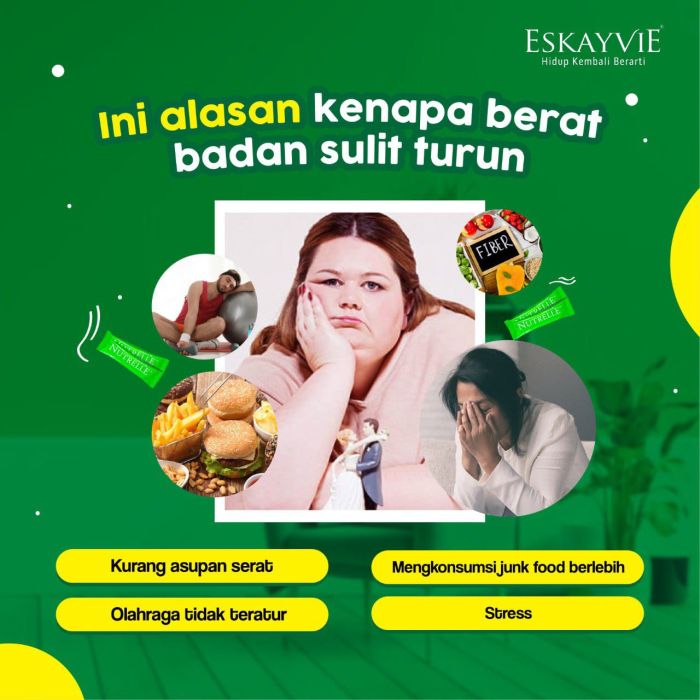 Jual Eskayvie Nutrelle Original  Melayani Pengiriman Ke Tangerang  Hub 082272741047